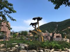 -芽庄珍珠岛游乐园