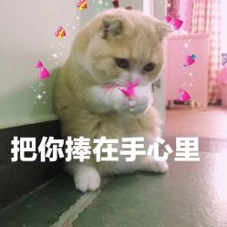 -郑州万安妇产医院