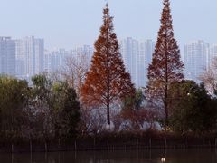 -艾溪湖湿地公园