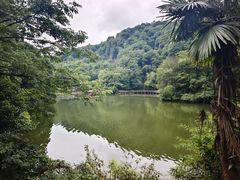 -青城山