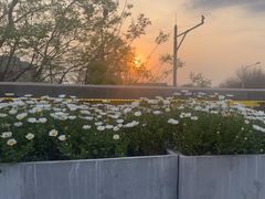 -苦尽酒馆·川菜(鼓楼店)
