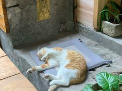 -悟饮门市景店