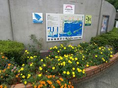 -台场海滨公园船码头