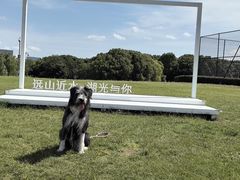 -苏州湾体育公园