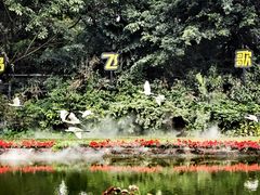 -广州长隆飞鸟乐园