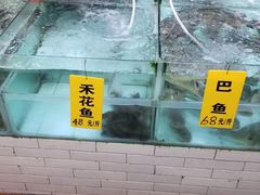 -寻味顺德·南记酒家·传统顺德菜·鱼生(广源路店)