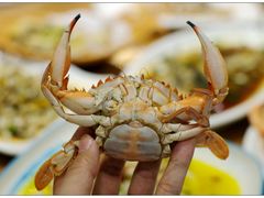 -洲晓鱻舟山海鲜(2号店)