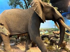 -陕西自然博物馆