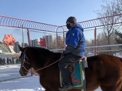 -沈阳奥体冰雪嘉年华