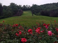 -北京宽沟会议中心