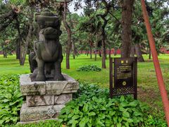 -北陵公园