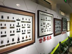 -上海昆虫博物馆