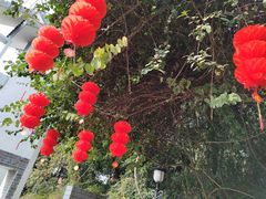 -三门江国家森林公园