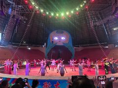 -俄罗斯国家大马戏团