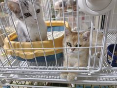 -三旗百汇商品城