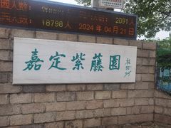 -嘉定紫藤园