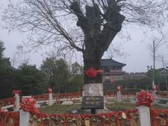 -董永七仙女文化园