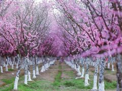 -汉中石门栈道景区