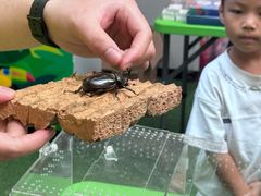 -正佳雨林生态植物园