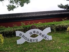 -观潮胜地公园