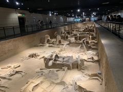 -洛阳周王城天子驾六博物馆