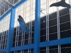 -泉城欧乐堡海洋极地世界