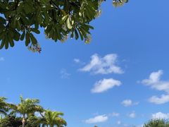 -珍珠港国家纪念馆