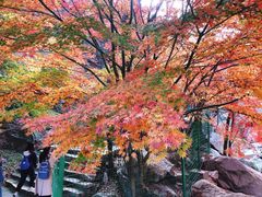 -崂山九水游览区