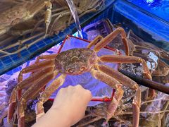 -驻海渔市(置信店)