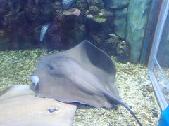 -顺德南宏海立方海洋公园