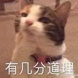炒螺蛳粉就是最dio的啦[机智][机智]