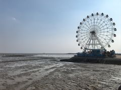 -奉贤海滩