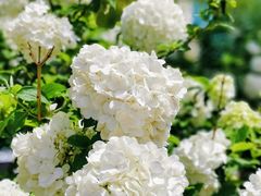 -大龙山(地铁站)