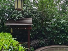 -天目湖涵田半山温泉
