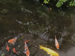 -漫笙舍Manse·咖啡·民宿