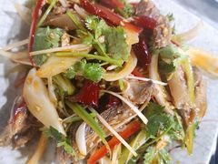 -东山羊庄(八卦岭店)