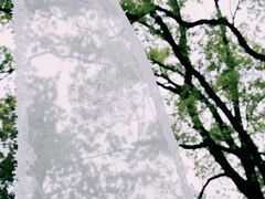 -上海虹桥迎宾馆