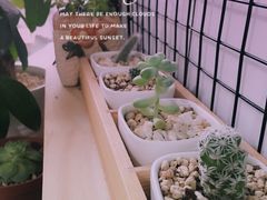 -蜜蜂小象·榴莲千层蛋糕(时代汇11栋店)