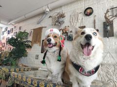 -平行世界·猫咖(首经贸店)