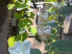 -便宜坊烤鸭店(玉蜓桥天坛店)