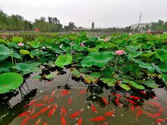 -西海子公园