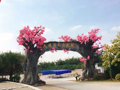 -天适樱花悠乐园