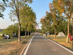 -金银湖国家城市湿地公园