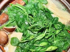 鸡汤豌豆尖-巴蜀风·地道川菜(总店)