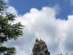 -千岛湖石林