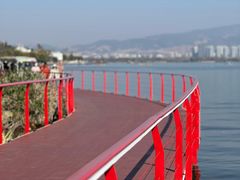 -西昌邛海湿地
