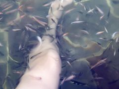 -天目湖涵田半山温泉