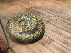 -石家庄市动物园