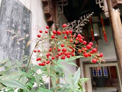 -胡雪岩故居
