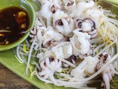 芥末海菊花-贞姨美食·老字号海鲜大排档
